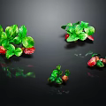 Strawberry Plants With Green Leaves And Red Fruits On Black Reflective Surface