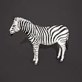 Modern Zebra Modern Realistic Animal Reptile Zebra 3d model