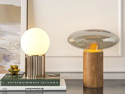 Modern Table Lamps with Metal Wooden Bases White Globe Clear Shades Star Decor and Books 3d model