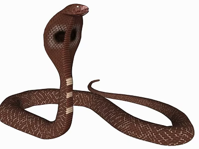 Brown Reptile Cobra With Hooded Neck And Scaled Body In Natural Posture 3d model