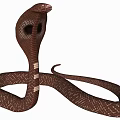 Brown Reptile Cobra With Hooded Neck And Scaled Body In Natural Posture