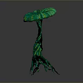 Unique Artistic Arbor With Green Umbrella Shaped Leaves Dark Trunk And Multiple Root Branches