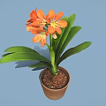 Orange Flowers With Green Leaves In Brown Pot On Blue Background