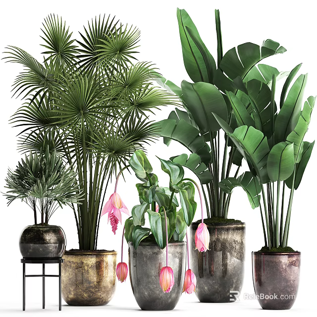 Indoor Potted Plants With Palm Leaves Large Green Foliage Pink Flowers And Decorative Ceramic Pots 3d model 