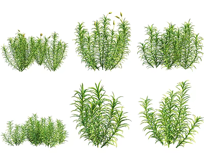 Modern plant blonde moss 3d model Modern plant blonde moss 3d model