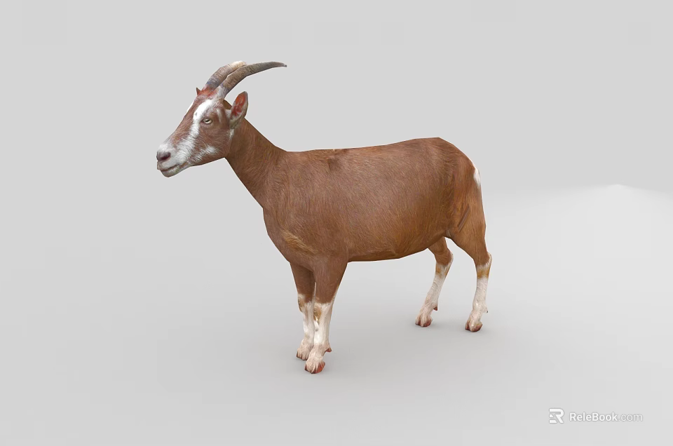 Brown Reptile With Curved Horns White Face And Legs On Gray Background 3d model 