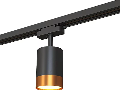 Black Copper Downlight Spotlight With Track Design And Warm Illumination For Modern Home 3d model