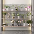 Various Flowers In Glass Ceramic Vases On Multi Layered Shelves For Interior Decoration