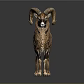 Brown Ram Taxidermy With Large Curved Horns Standing On Dark Background With Reflection