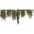 Lush Green Hanging Vines With Dense Leaves For Home Decoration