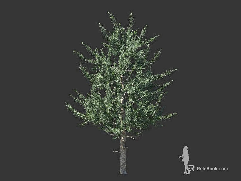 Arbor With Green Foliage And Trunk Featuring Human Silhouette For Scale 3d model