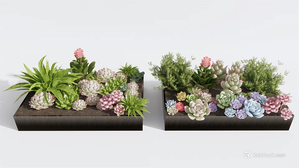Decorative Potted Succulent Plants In Black Rectangular Containers With Various Green Pink And Purple Varieties 3d model 