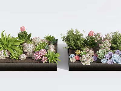 Decorative Potted Succulent Plants In Black Rectangular Containers With Various Green Pink And Purple Varieties 3d model