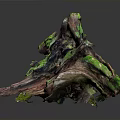 Lush Green Moss Plants Growing On Weathered Driftwood Natural Decorative Piece