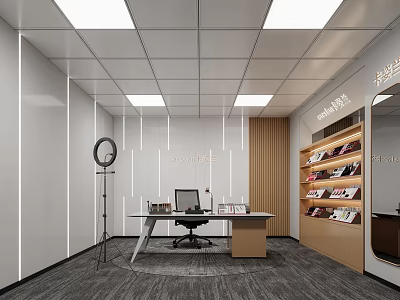 Modern Public Office Space Featuring Work Desk Computer Office Chair Wooden Bookshelf And Ceiling Lights 3d model