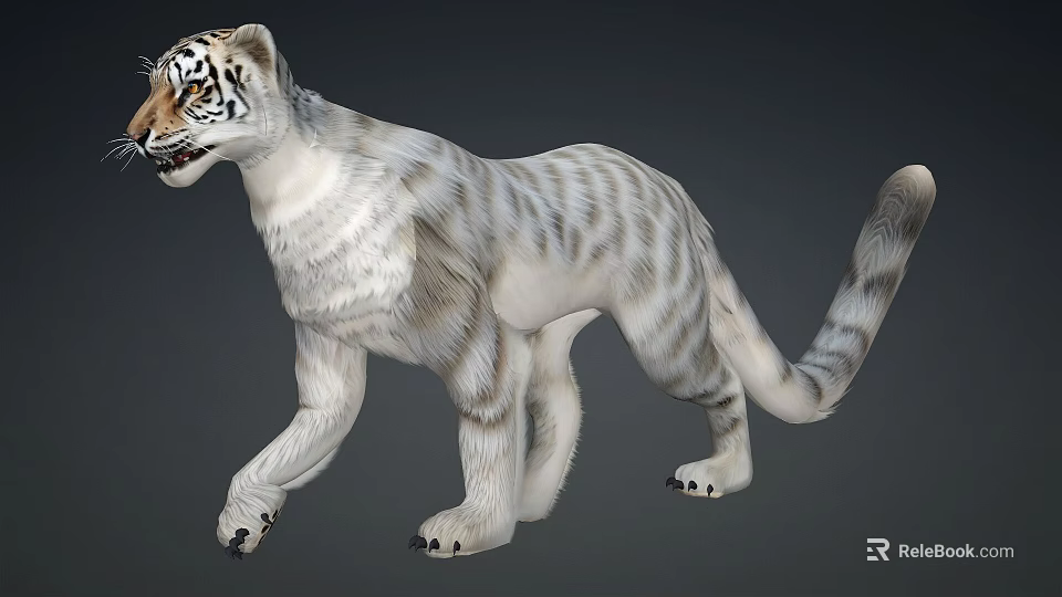 Realistic 3D White Tiger Model With Striped Fur And Walking Pose 3d model 