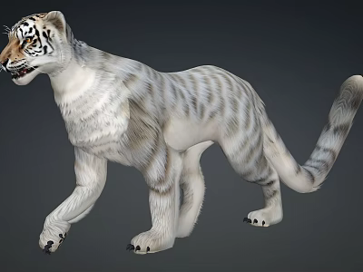 Realistic 3D White Tiger Model With Striped Fur And Walking Pose 3d model