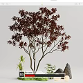 arbor landscape tree 3d model