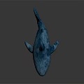 Soft Blue Shark Plush Stuffed Toy With White Belly And Sharp Teeth