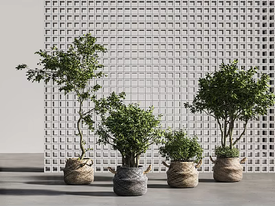 Lush Bonsai Potted Plants in Woven Baskets Against Grid Patterned Wall 3d model