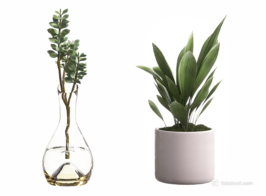 Bonsai Potted Plants in Transparent Glass Vase and White Ceramic Pot with Green Leaves 3d model 