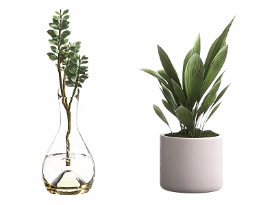 Bonsai Potted Plants in Transparent Glass Vase and White Ceramic Pot with Green Leaves 3d model