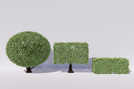 Modern shrub rice orchid Milan ball hedge 3d model