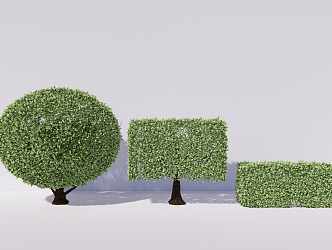 Modern shrub rice orchid Milan ball hedge 3d model