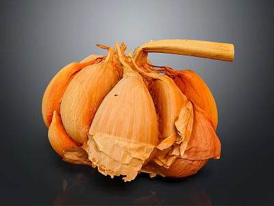 Fresh Peeled Garlic Bulb With Separated Cloves And Dry Outer Skin 3d model