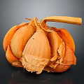 Fresh Peeled Garlic Bulb With Separated Cloves And Dry Outer Skin