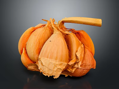 Modern Garlic 3d model