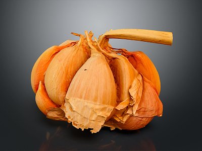 Modern Garlic 3d model