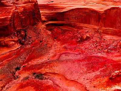 Garden Landscape Design With Red Rock Formations And Natural Textural Patterns 3d model