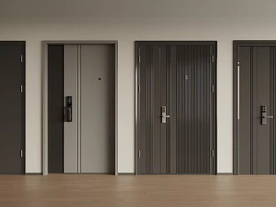 Modern Security Doors With Different Designs Dark Light Gray Handles And Smart Locks 3d model