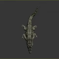 Realistic Lifelike Green Crocodile With Detailed Scaly Skin On Gray Background