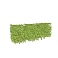 Lush Green Shrubs Enhance Garden Landscape With Dense Foliage And Vibrant Leaves