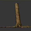 Natural Wooden Tree Stump With Stone Chip Covered Base And Visible Roots