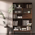 Stylish Wooden Bookshelf With Books Small Plant Radio Photo Frame And Large Potted Plant Beside