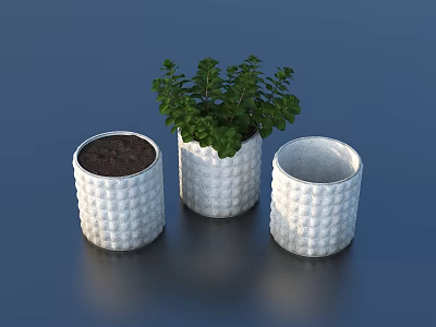 Bonsai Potted Plants In Three White Textured Pots With Green Plant Center 3d model
