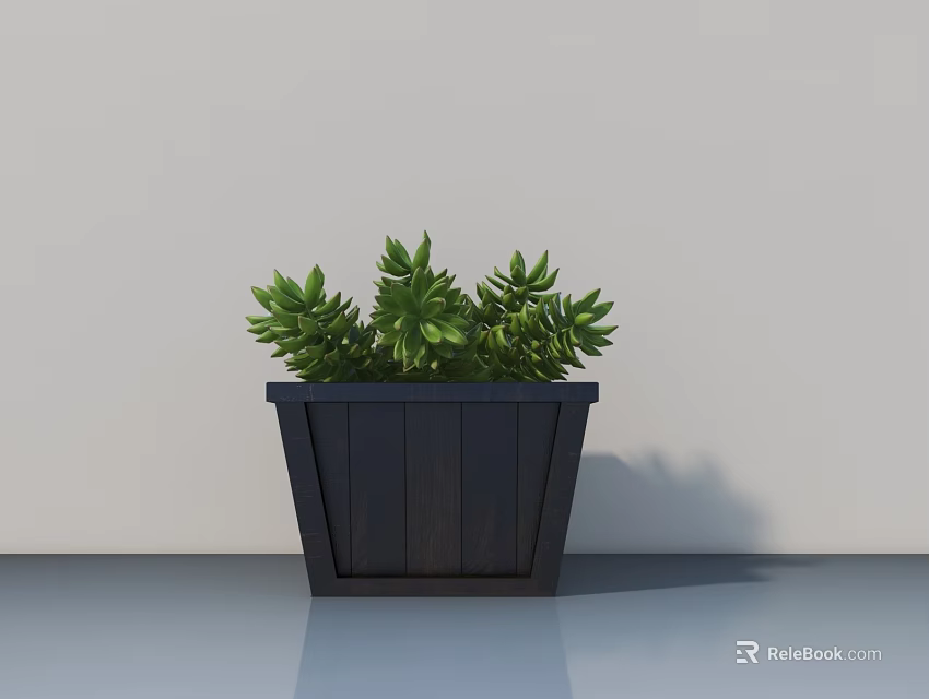 Lush Green Bonsai Plant in Black Wooden Pot for Indoor Home Decoration 3d model 