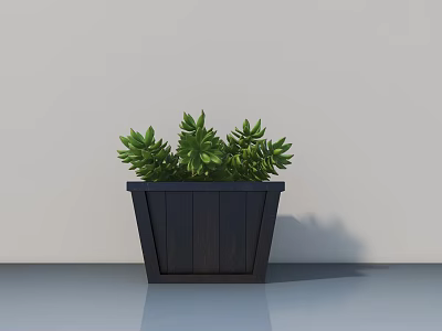 Lush Green Bonsai Plant in Black Wooden Pot for Indoor Home Decoration 3d model