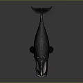 Black Whale Model With Open Mouth And Blue Interior On Dark Background 3d model