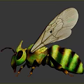 Green and yellow striped bee with transparent wings on black background and reflective surface