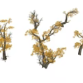 Arbor Trees with Yellow Leaves and Various Shapes in Light Blue Background with Ground Shadows