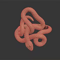 Copper Colored Snake Coiled In Intricate Pattern On Dark Background With Reflection