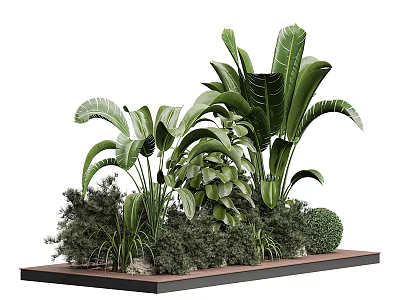 Lush Green Shrubs With Tropical Plants And Large Leaves On Wooden Platform 3d model