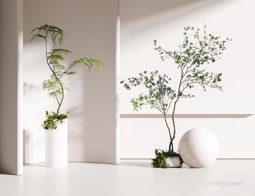 Two Bonsai Potted Plants In White Vase And Sphere Decor For Bright Interior 3d model 