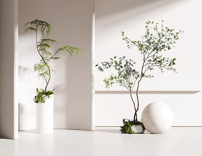 Two Bonsai Potted Plants In White Vase And Sphere Decor For Bright Interior 3d model