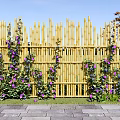 Lush Purple Flowers And Green Vines Climbing On Bamboo Fence In Outdoor Garden