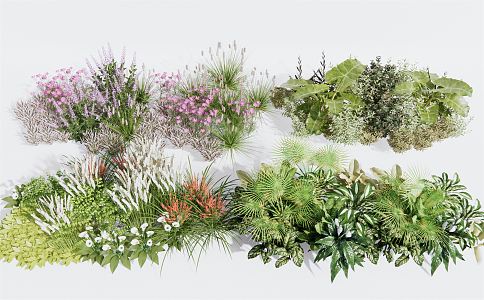 Modern flowers and grass bushes 3d model